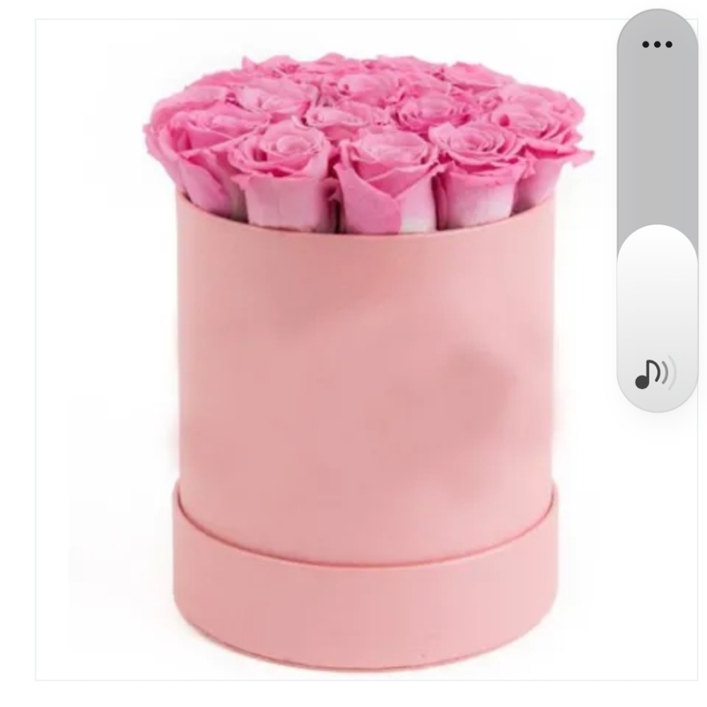 Mothers Day Gift Elegant Pink Velvet Forever Roses Velvet Box